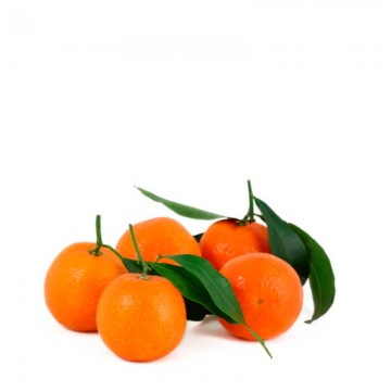 Mandarina Clementina...