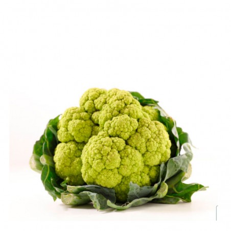 Brócoli verde ecológico 1ut.