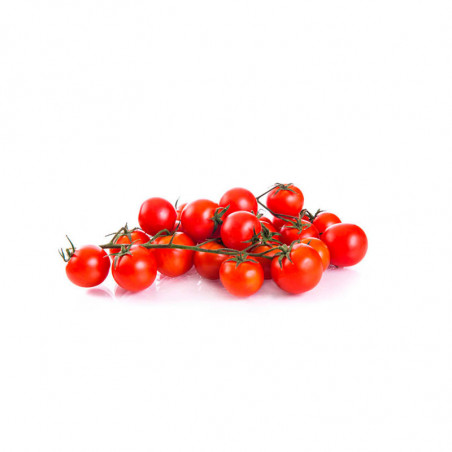 Tomàquet xerri ecològic 250gr.