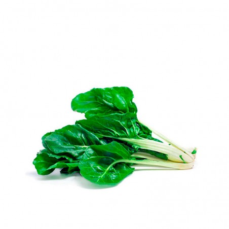 Acelga ecológica 600gr.