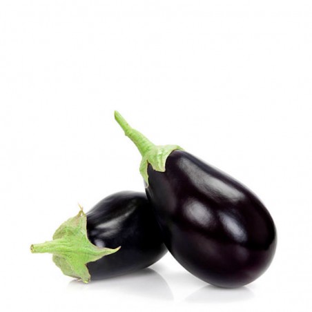 Alberginia negra ecològica 500gr.
