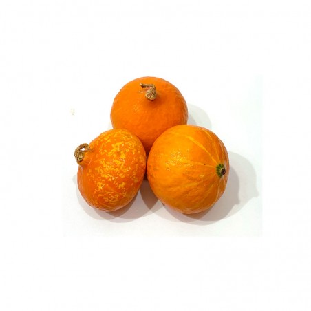Calabaza potimarró ecológica, 1ut de 1-2kg.